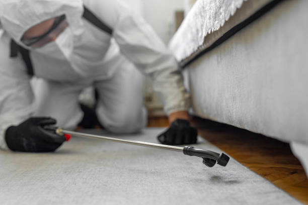 Professional Bed Bug Control technician working in Herndon, VA