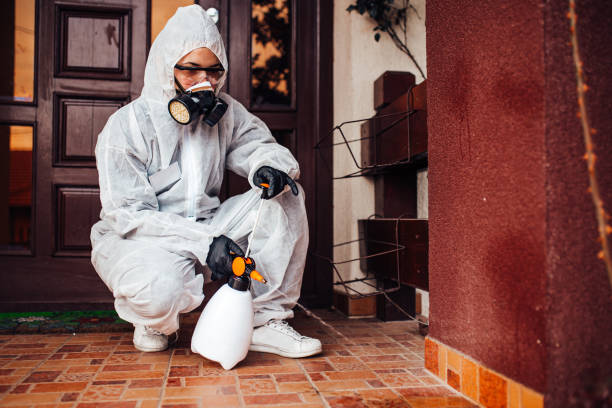 Reliable Bed Bug Control contractor in Herndon, VA by Nex Pest Control