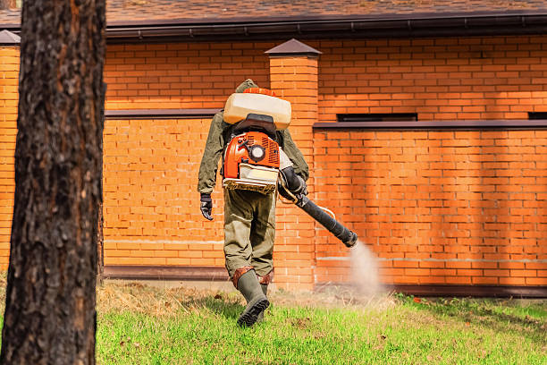 Trusted Cockroach Control service in Herndon, VA - Nex Pest Control